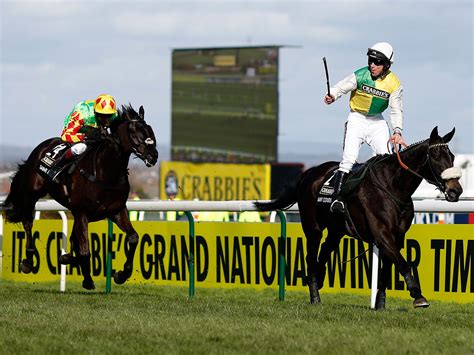 Grand National runners: Many Clouds.